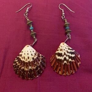 Seashell earrings